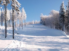Kouty nad Desnou