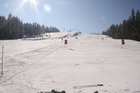Petříkov